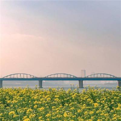 贵州兴义：金州大桥建设有序推进